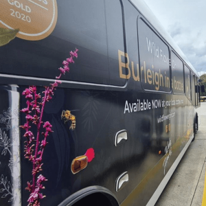 Bus Panel Advertisement